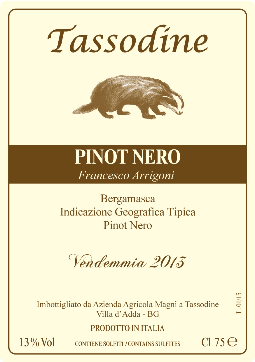 Pinot Nero 2013 - Bergamasca IGT