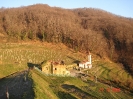 Raccolta