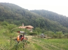 Vendemmia Pinot 12/09/2015-11