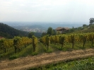 Vendemmia Pinot 12/09/2015-12