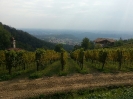 Vendemmia Pinot 12/09/2015-2