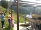 Vendemmia Pinot 12/09/2015-7